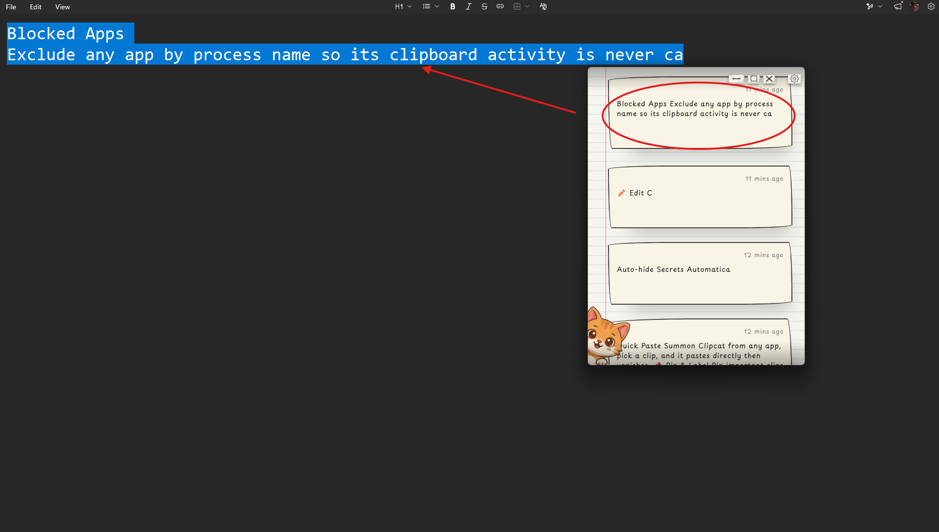 Auto-capture - clip list with text and image entries